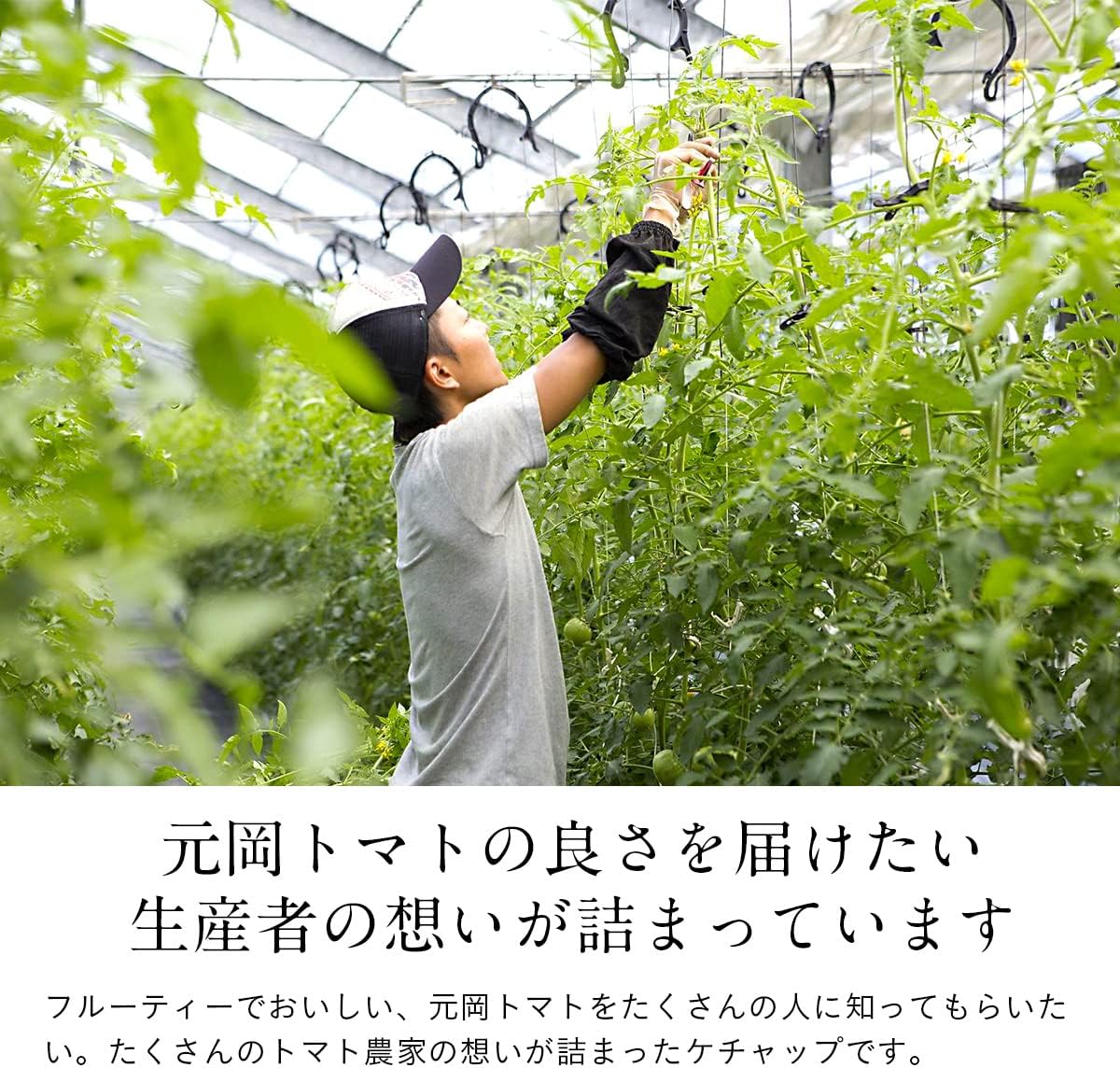 商品画像5