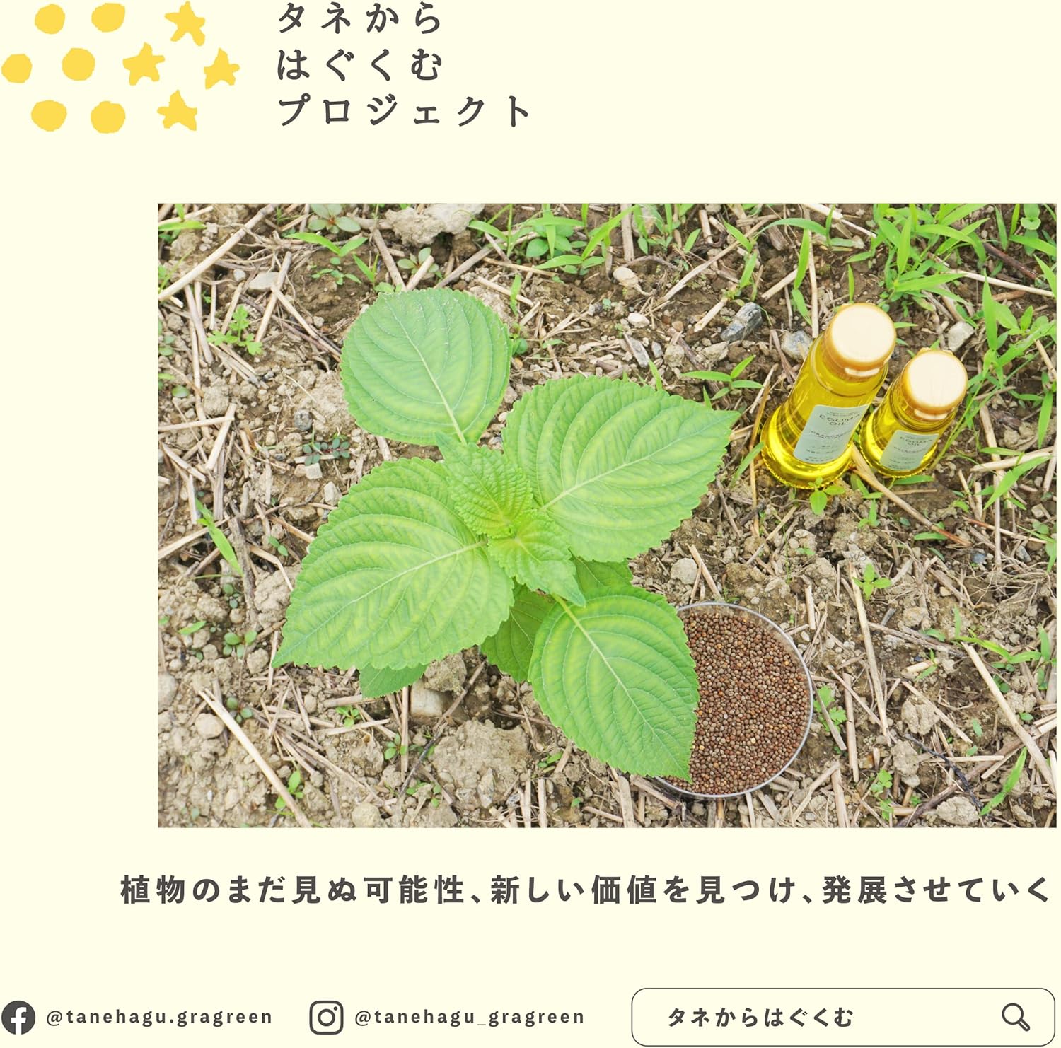 商品画像8
