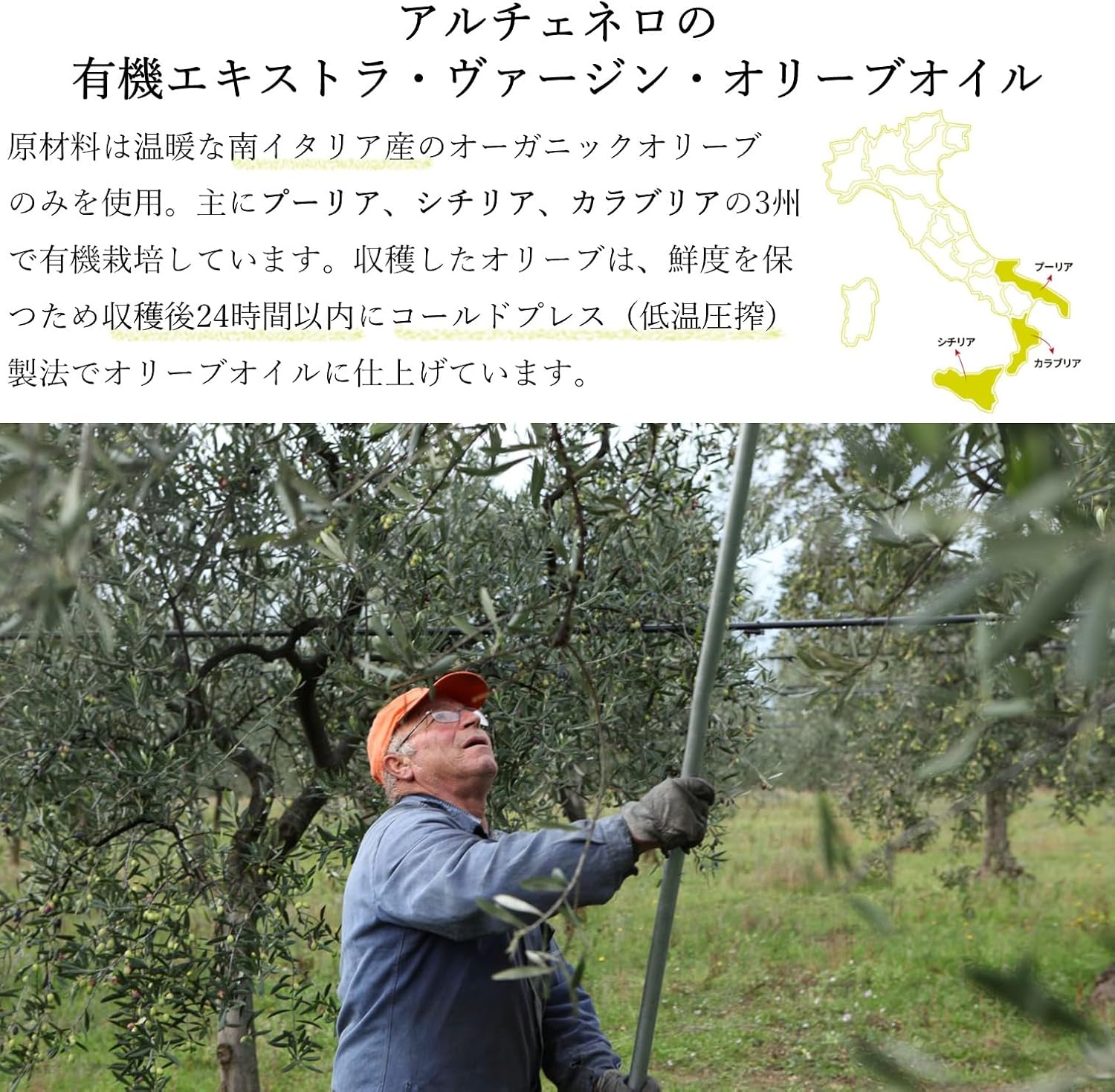 商品画像7