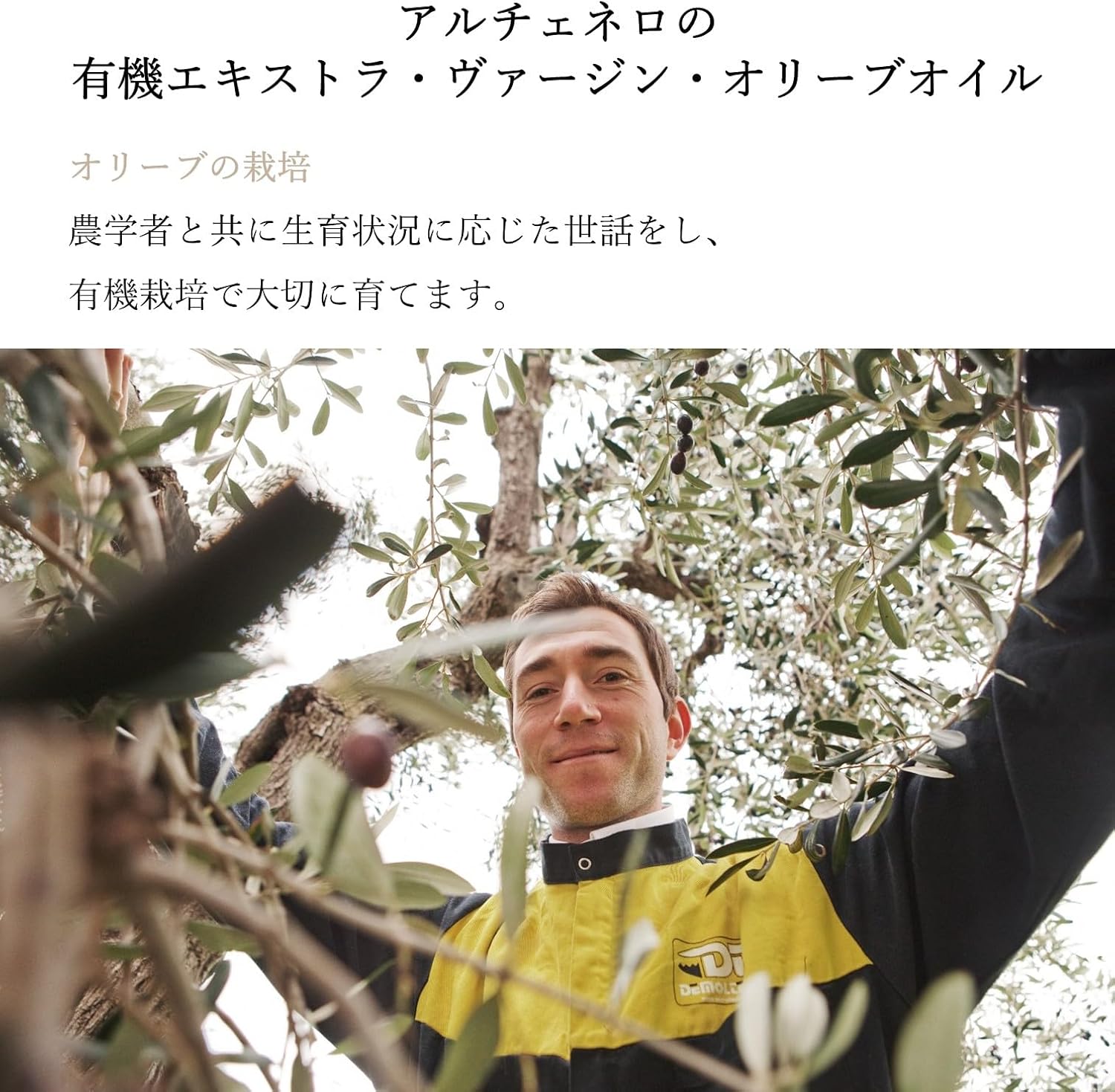 商品画像8