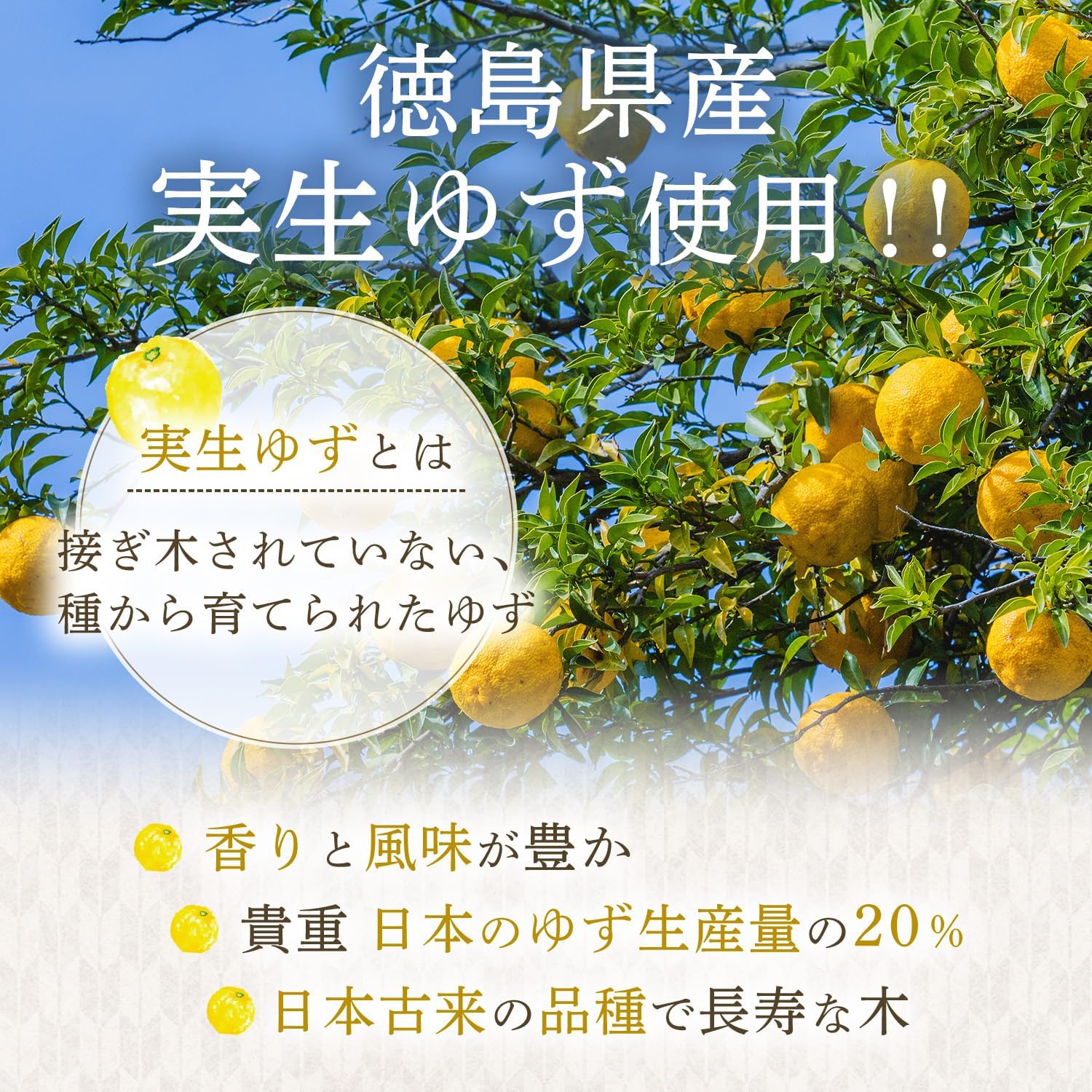 商品画像5