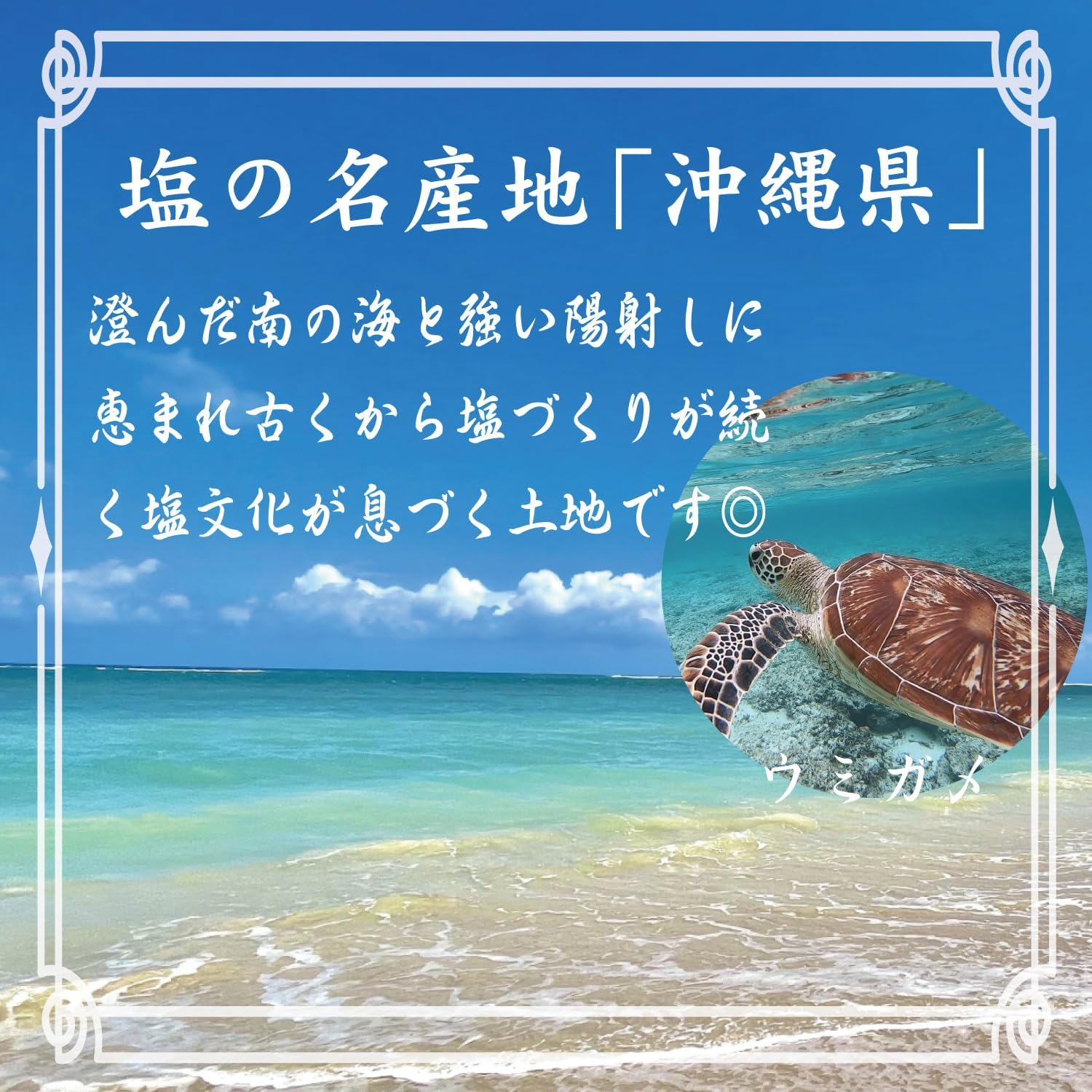 商品画像3