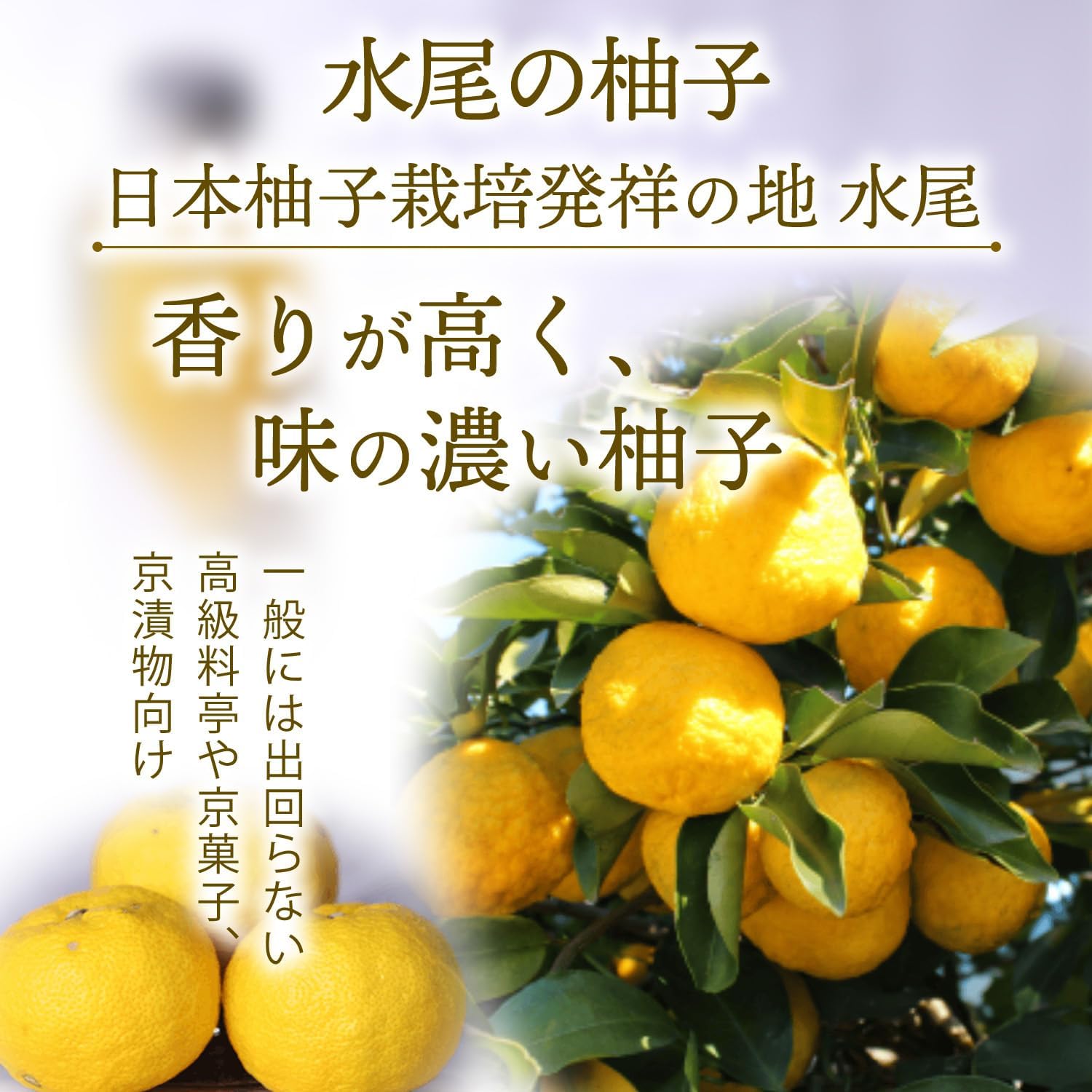 商品画像4